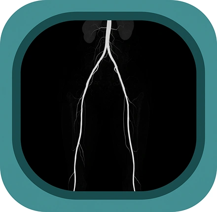 CTA lower limb anatomy icon